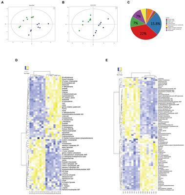 Exogenous D-ribose promotes gentamicin treatment of several drug-resistant Salmonella